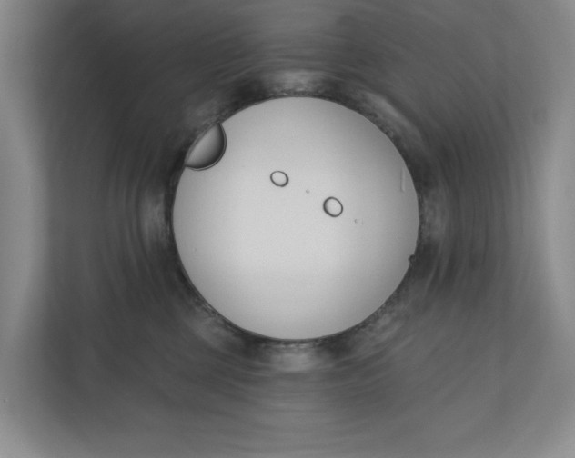 X0000110740377200906290953