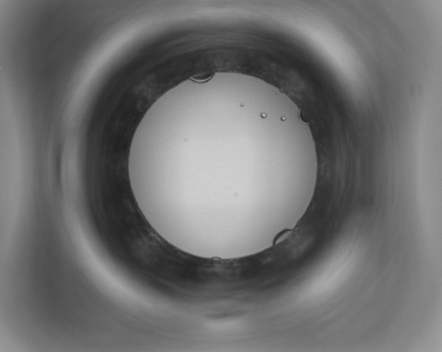 X0000110740383200906290953