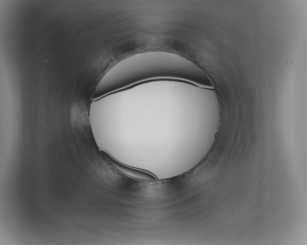 X0000110740384200906290953