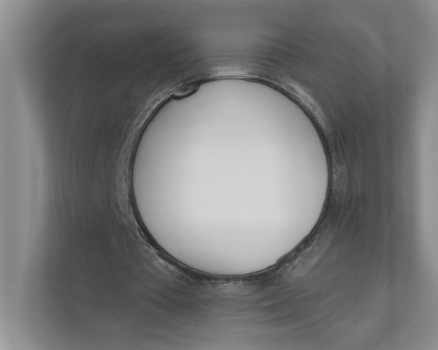 X0000110740385200906290952