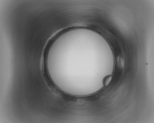 X0000110740388200906290952