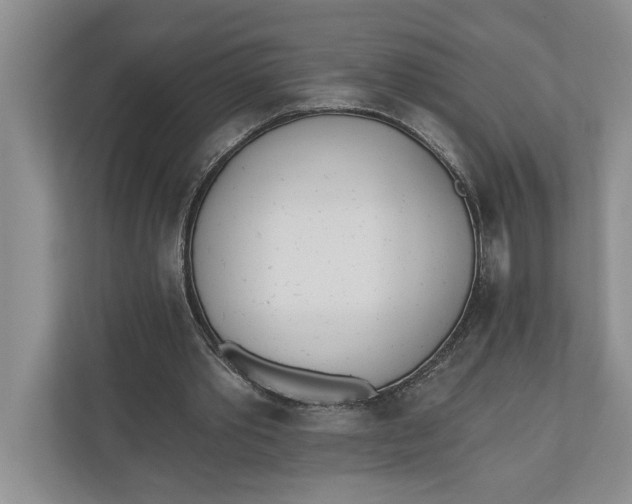 X0000110740389200906290952