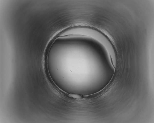 X0000110740391200906290952