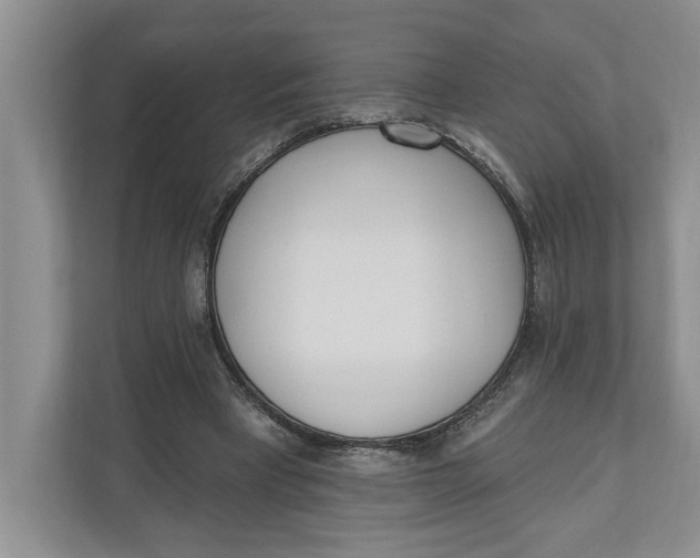 X0000110740393200906290952