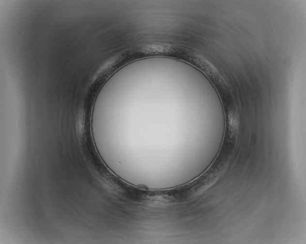 X0000110740396200906290952