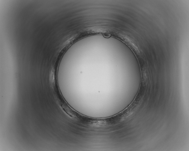 X0000110740398200906290952