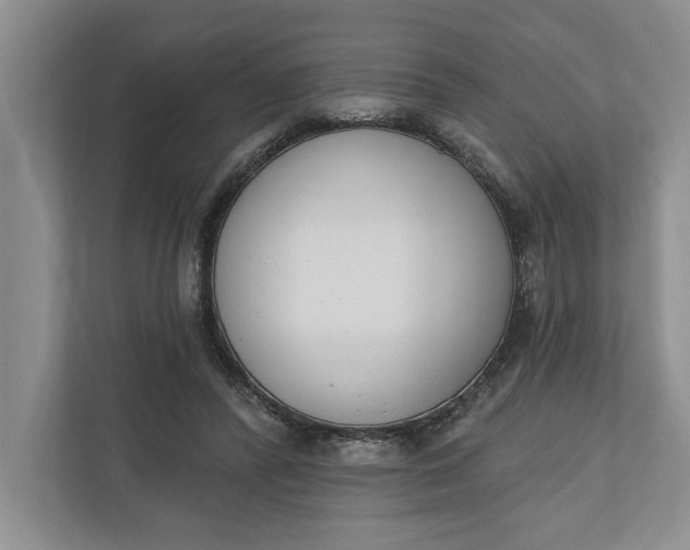 X0000110740400200906290952