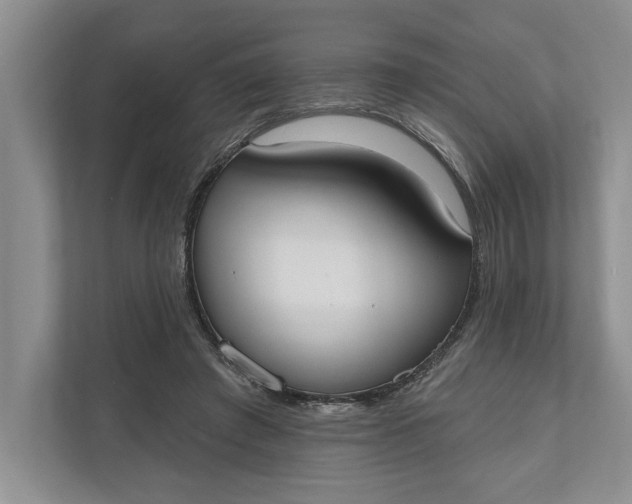 X0000110740401200906290952