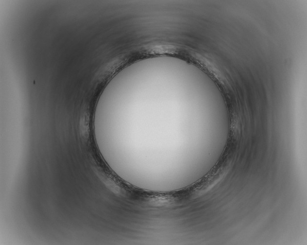 X0000110740402200906290952