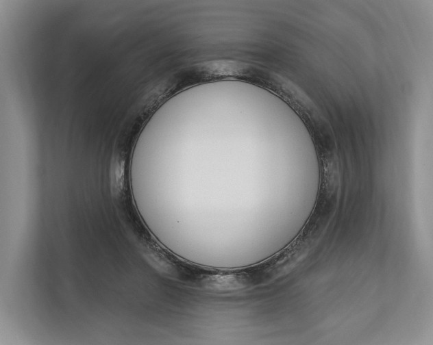 X0000110740406200906290952