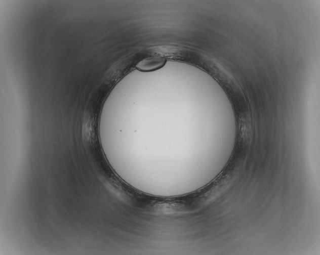 X0000110740408200906290952