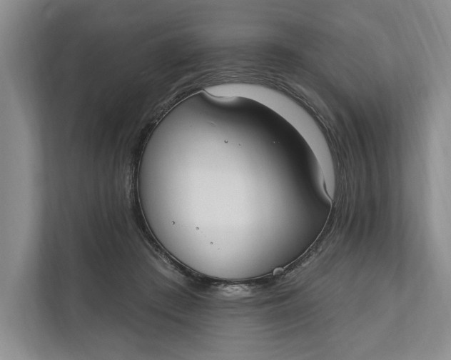 X0000110740409200906290952