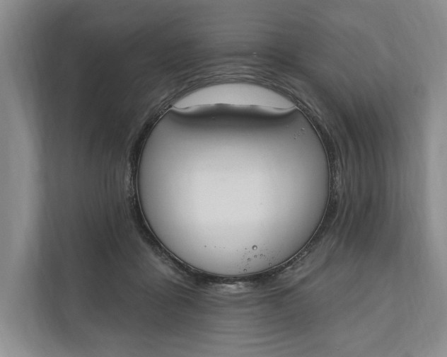 X0000110740411200906290952