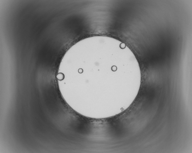 X0000110740415200906290952