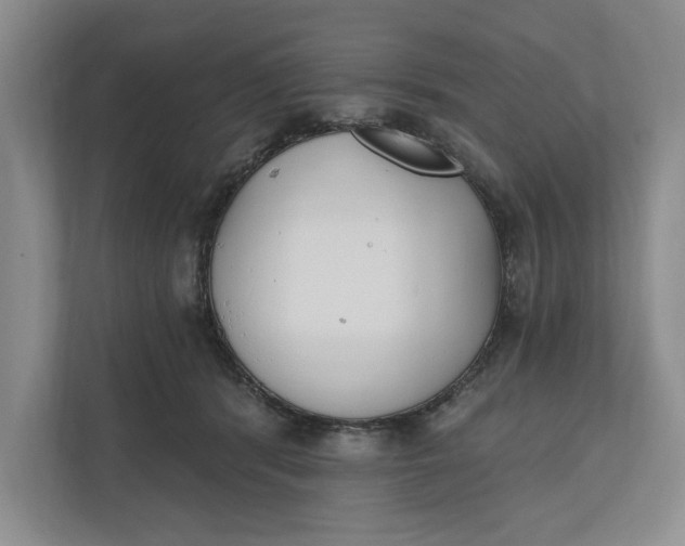 X0000110740416200906290952