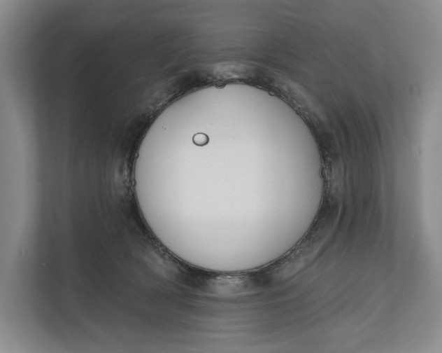 X0000110740418200906290952