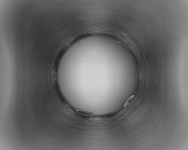 X0000110740419200906290952