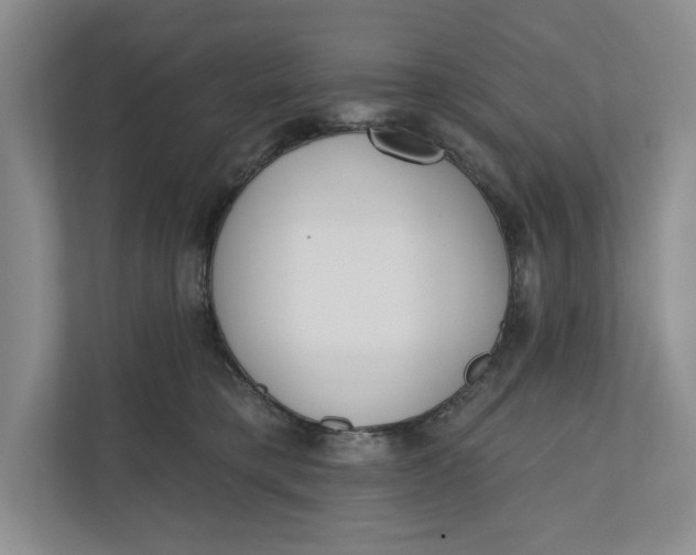 X0000110740421200906290952