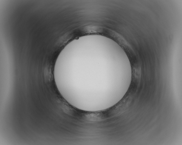 X0000110740422200906290952