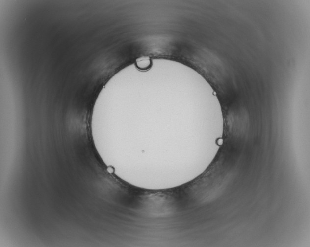 X0000110740423200906290952