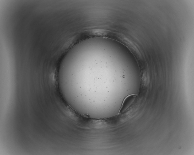 X0000110740424200906290952