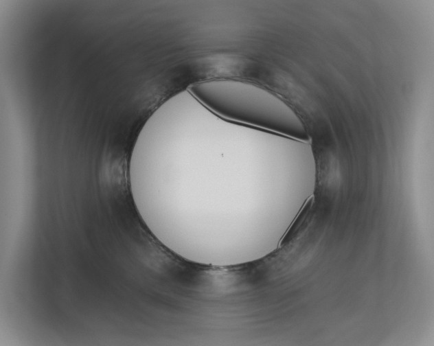 X0000110740425200906290952