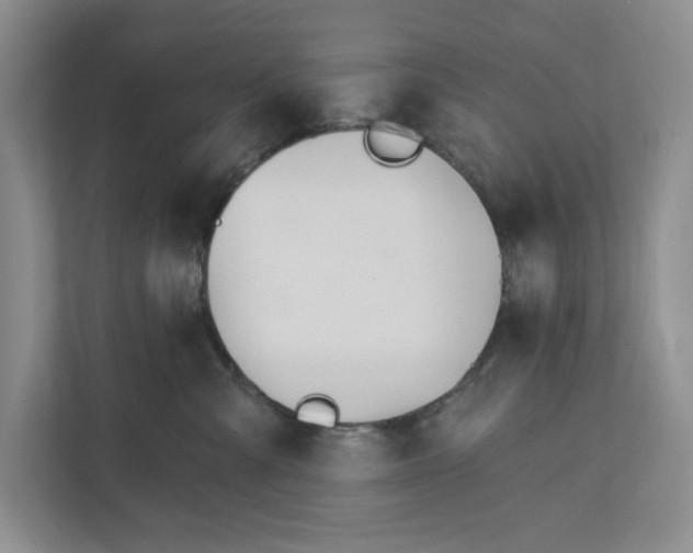 X0000110740427200906290952