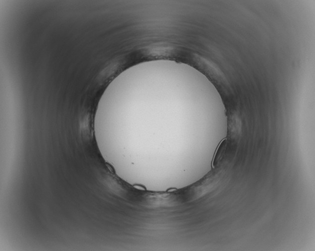 X0000110740428200906290952