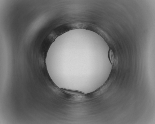 X0000110740429200906290952