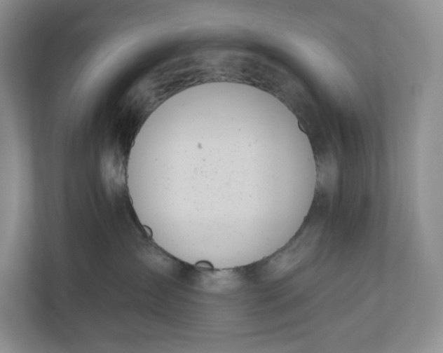 X0000110740431200906290952