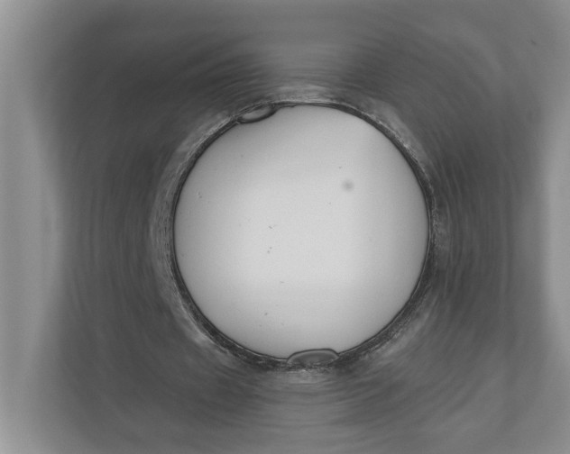 X0000110740433200906290951