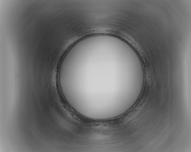 X0000110740434200906290951