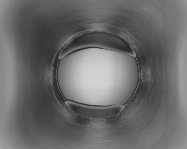 X0000110740436200906290951