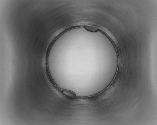 X0000110740437200906290951