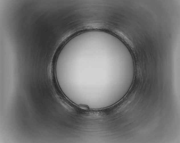 X0000110740439200906290951