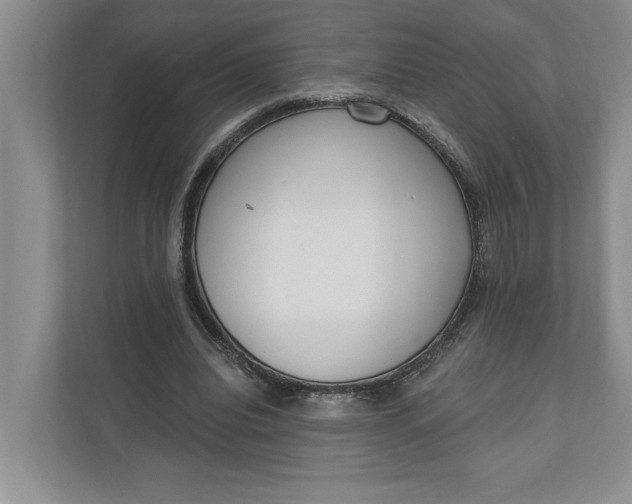 X0000110740440200906290951