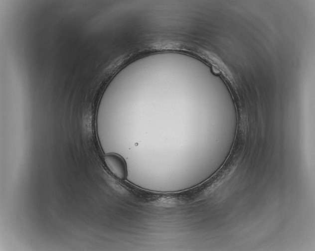 X0000110740441200906290951