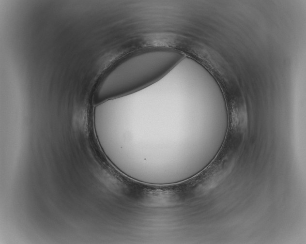 X0000110740444200906290951