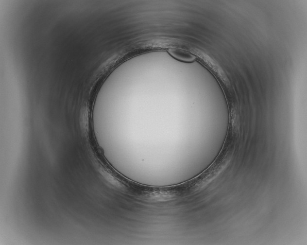 X0000110740445200906290951