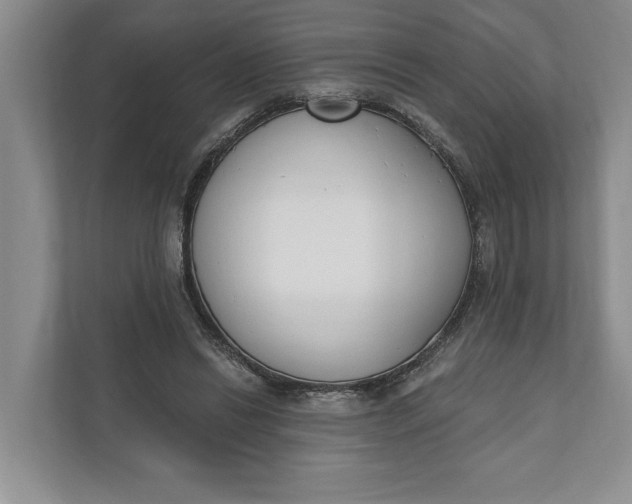 X0000110740446200906290951