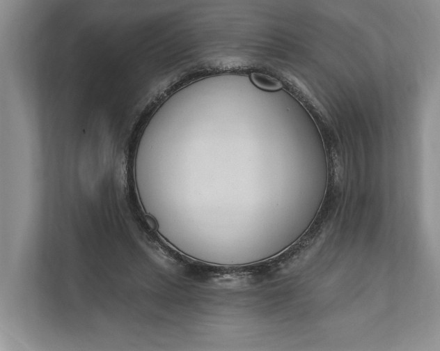 X0000110740447200906290951