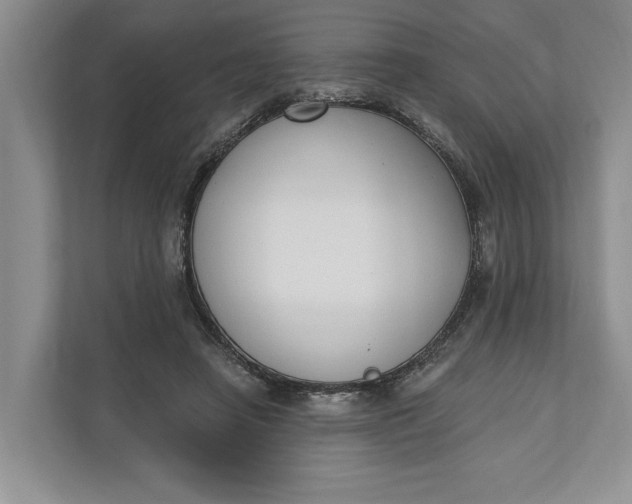 X0000110740450200906290951