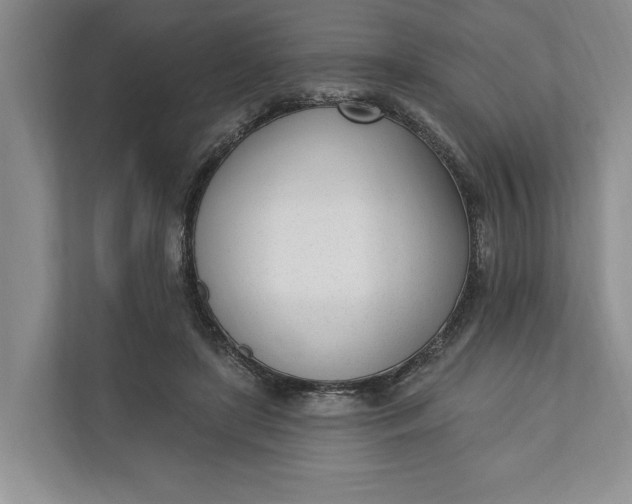 X0000110740451200906290951