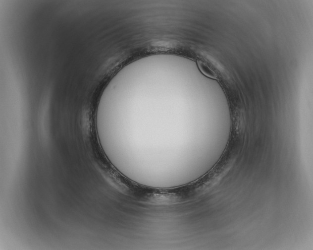 X0000110740455200906290951