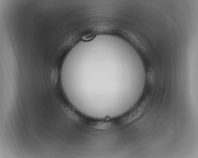 X0000110740458200906290951