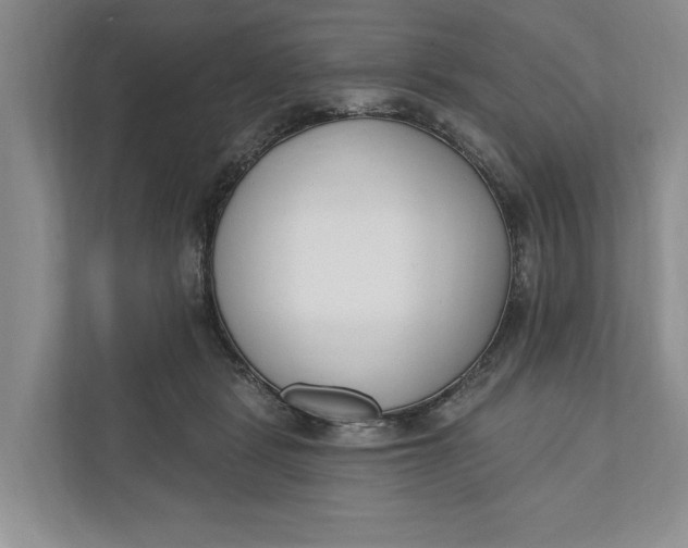 X0000110740461200906290951