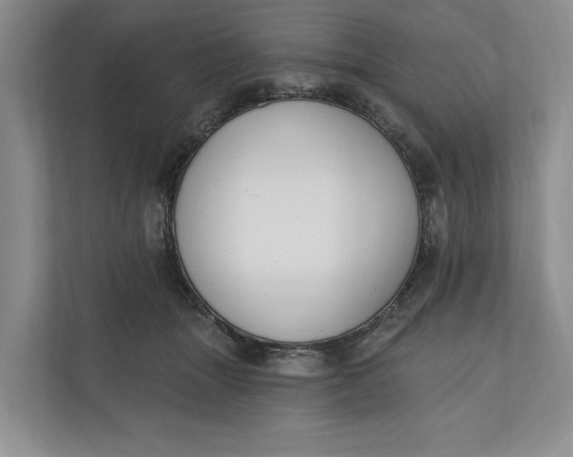 X0000110740463200906290951