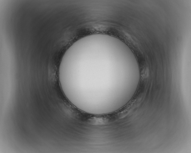 X0000110740464200906290951