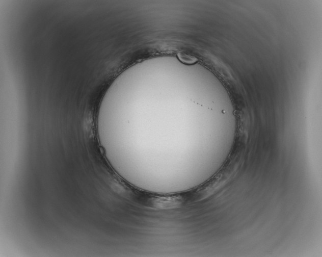 X0000110740465200906290951