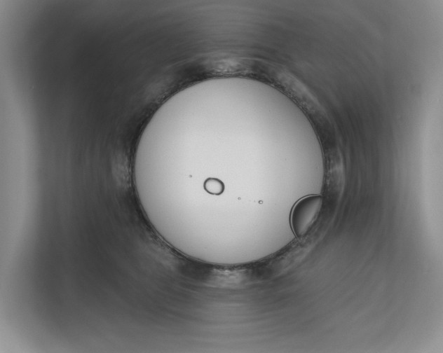 X0000110740469200906290951